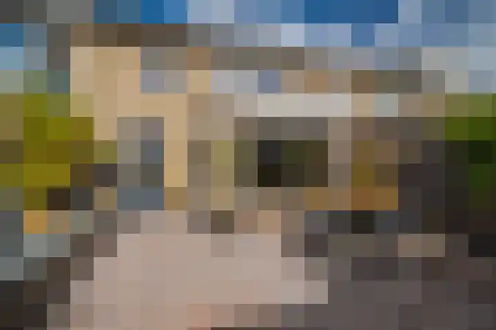 De Olmen 69 Zevenaar thumbnail 15