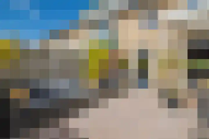 De Olmen 69 Zevenaar thumbnail 16