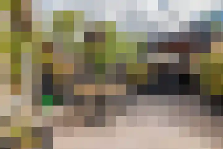 De Olmen 69 Zevenaar thumbnail 20