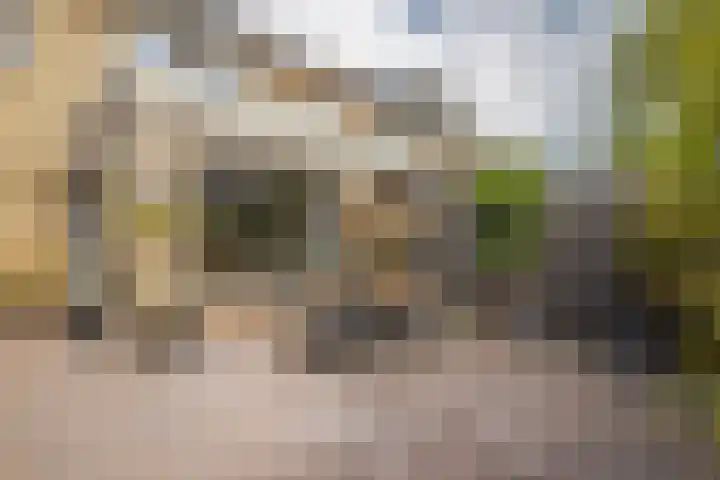 De Olmen 69 Zevenaar thumbnail 22