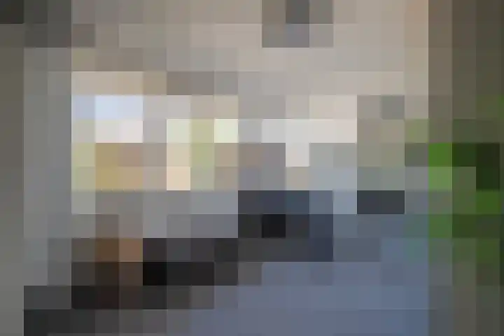 De Olmen 69 Zevenaar thumbnail 24