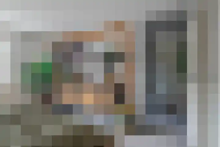 De Olmen 69 Zevenaar thumbnail 27