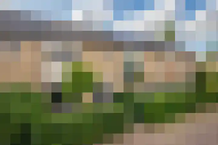 De Olmen 69 Zevenaar thumbnail 33