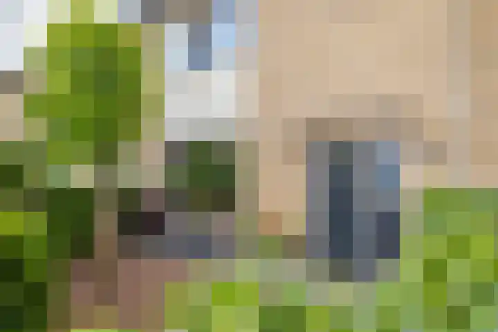 De Olmen 69 Zevenaar thumbnail 5