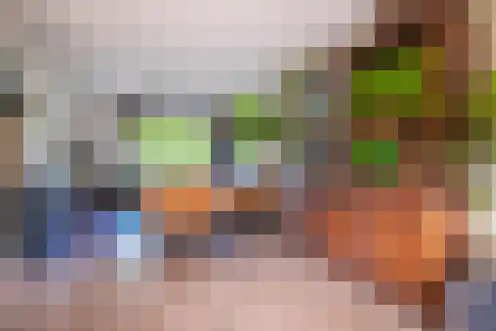 De Olmen 69 Zevenaar thumbnail 9