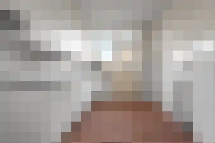 De Olmen 8 Zevenaar thumbnail 10