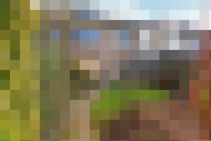 De Olmen 8 Zevenaar thumbnail 26