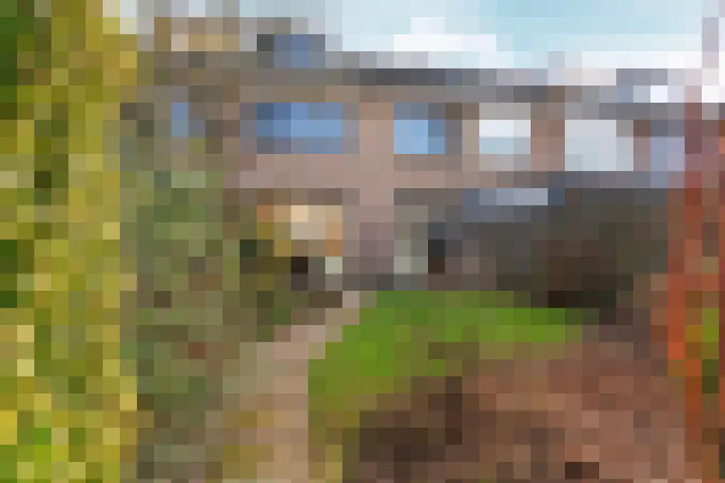 De Olmen 8 Zevenaar thumbnail 26