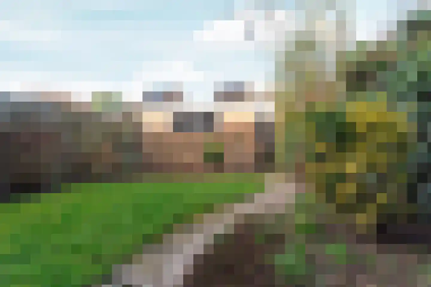 De Olmen 8 Zevenaar foto 3