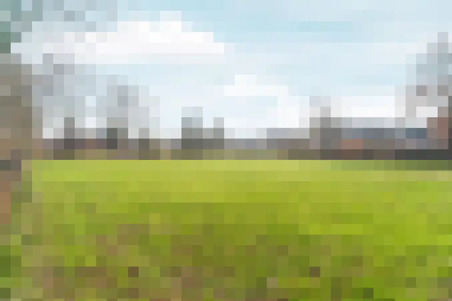 De Olmen 8 Zevenaar thumbnail 30