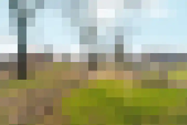 De Olmen 8 Zevenaar thumbnail 31