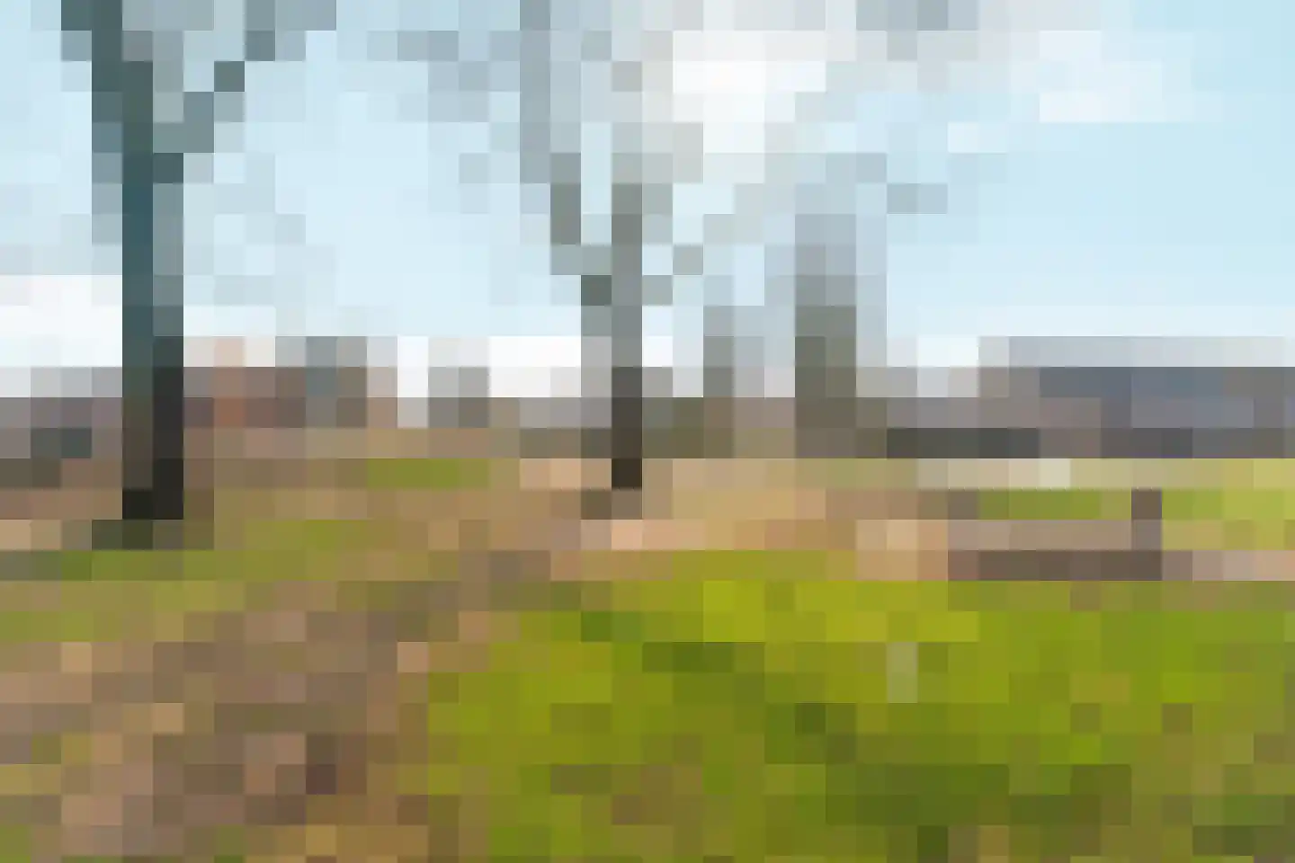 De Olmen 8 Zevenaar thumbnail 31