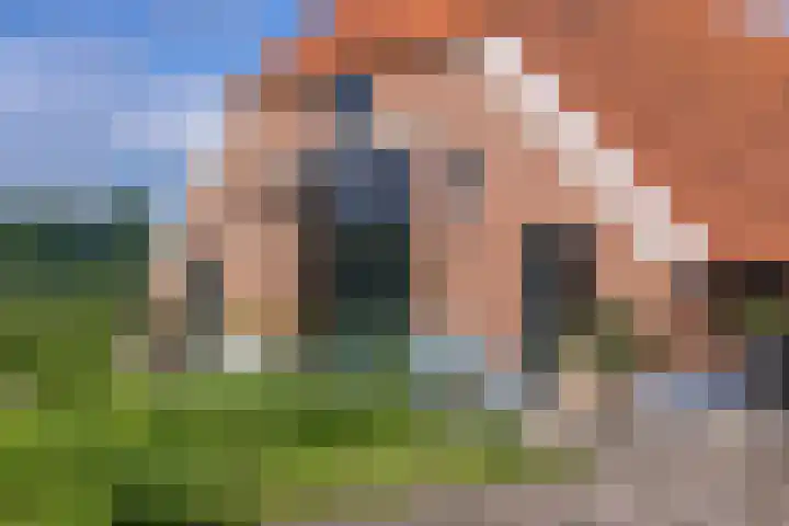 De Olmen 8 Zevenaar thumbnail 33