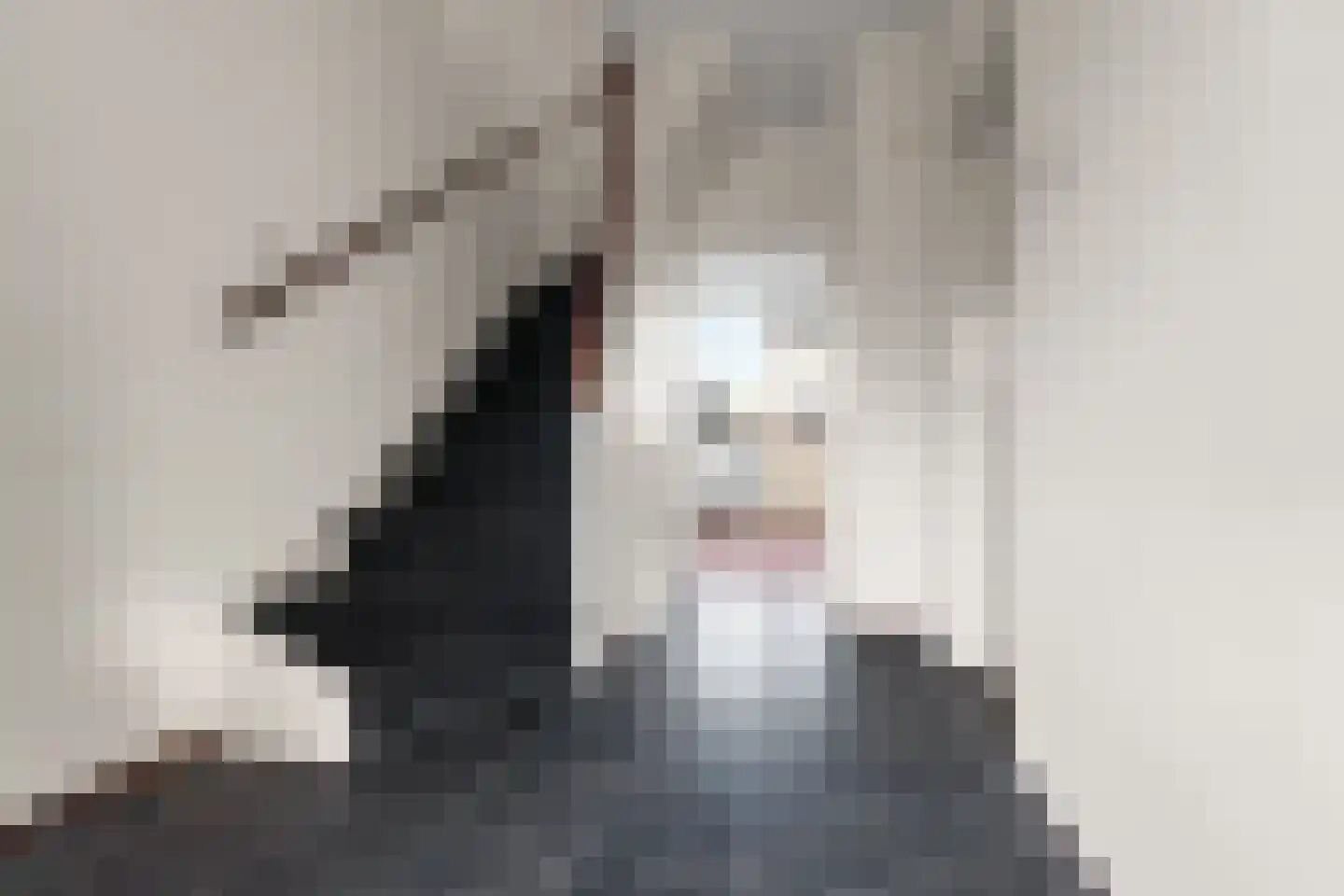 De Olmen 8 Zevenaar thumbnail 4