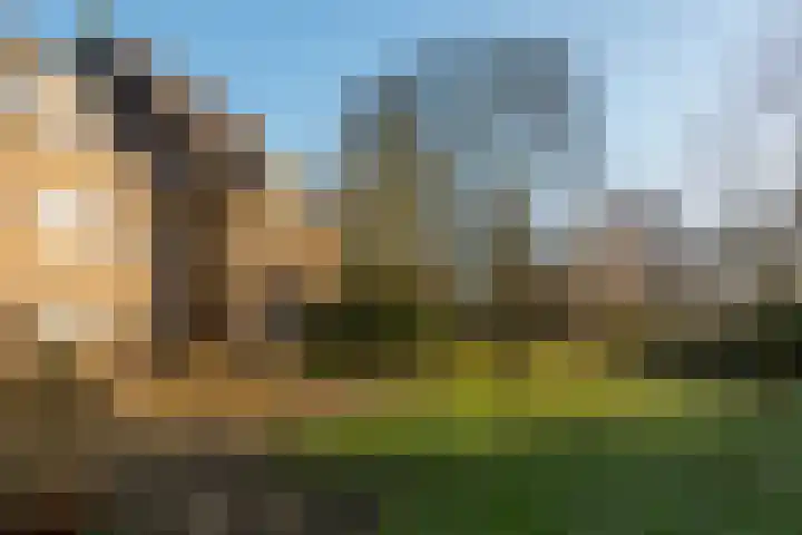 De Olvendijk 21 Heiloo thumbnail 29