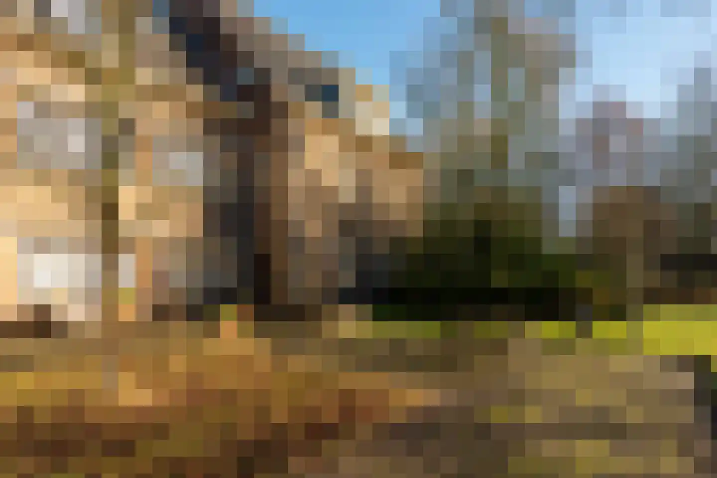 De Olvendijk 21 Heiloo thumbnail 35