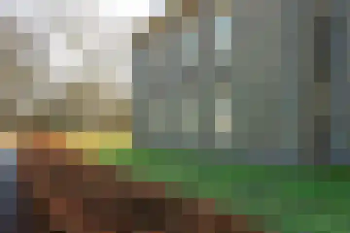 De Olvendijk 21 Heiloo thumbnail 38