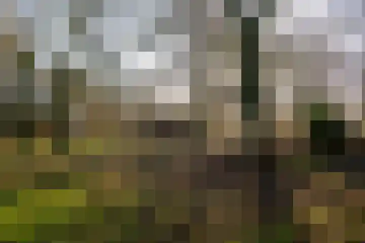 De Olvendijk 21 Heiloo thumbnail 39