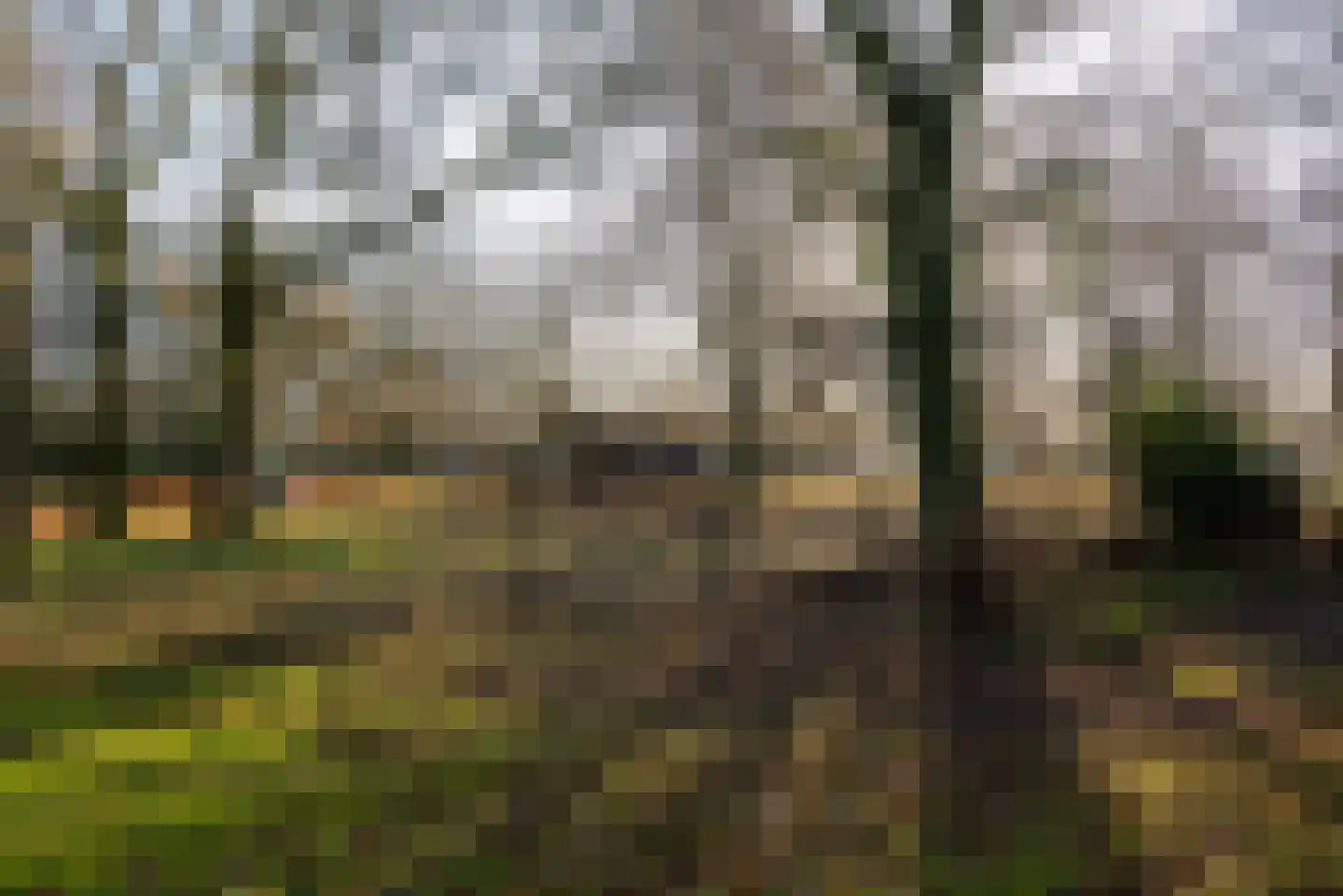 De Olvendijk 21 Heiloo thumbnail 39