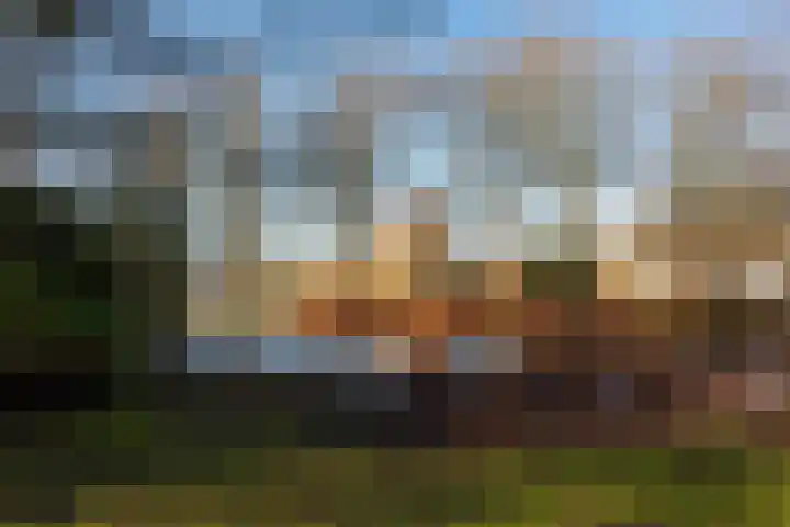 De Olvendijk 21 Heiloo thumbnail 43