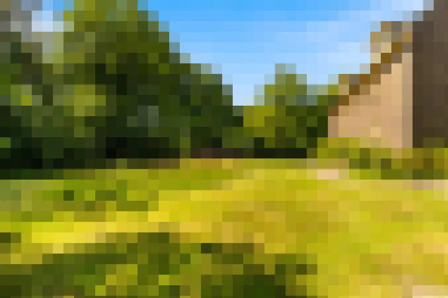 De Olvendijk 23 Heiloo thumbnail 21