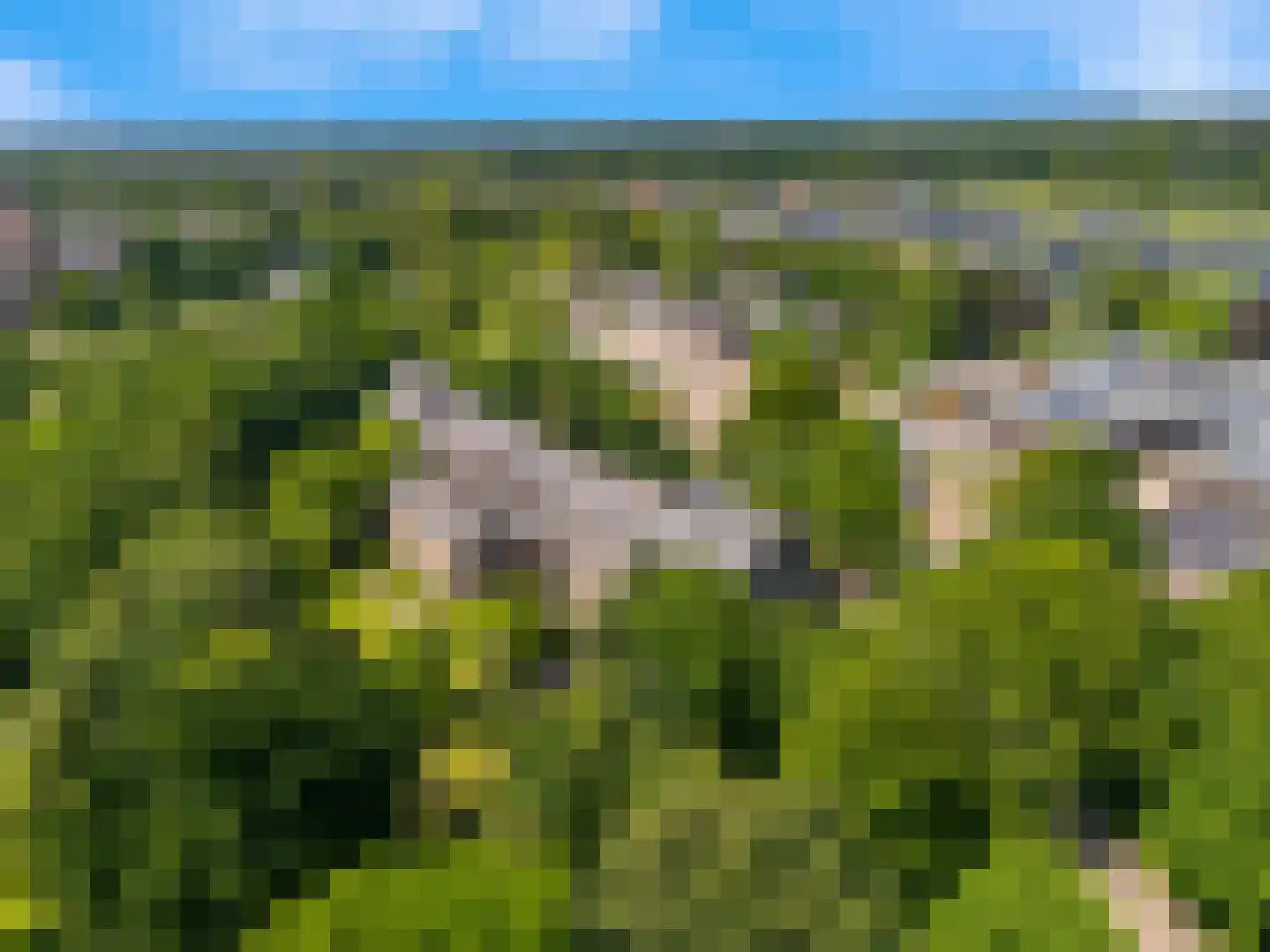De Olvendijk 23 Heiloo thumbnail 5