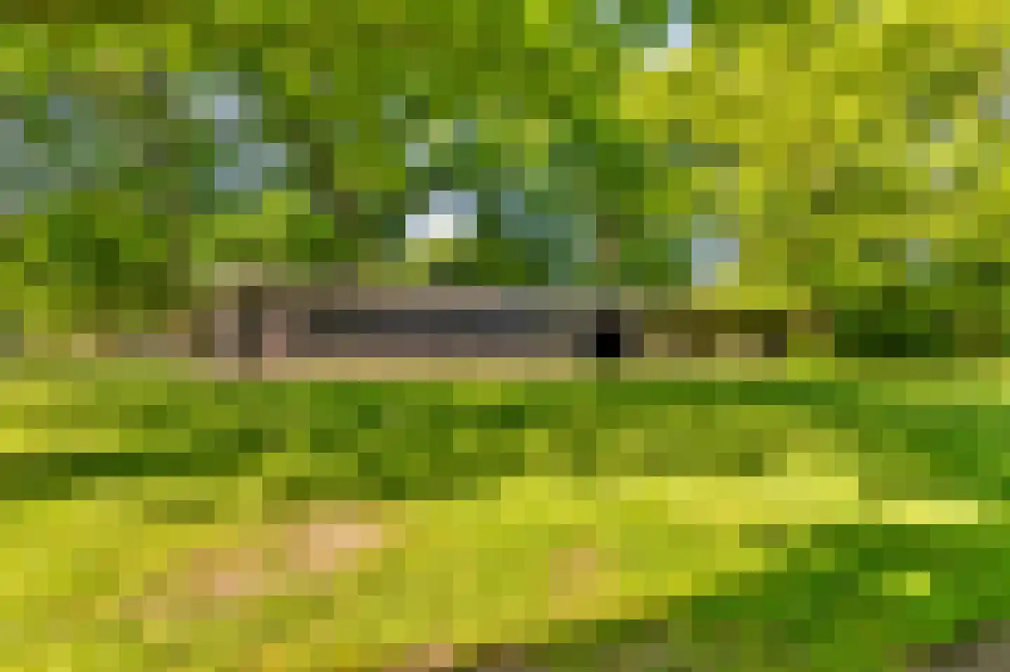 De Olvendijk 33 Heiloo thumbnail 36