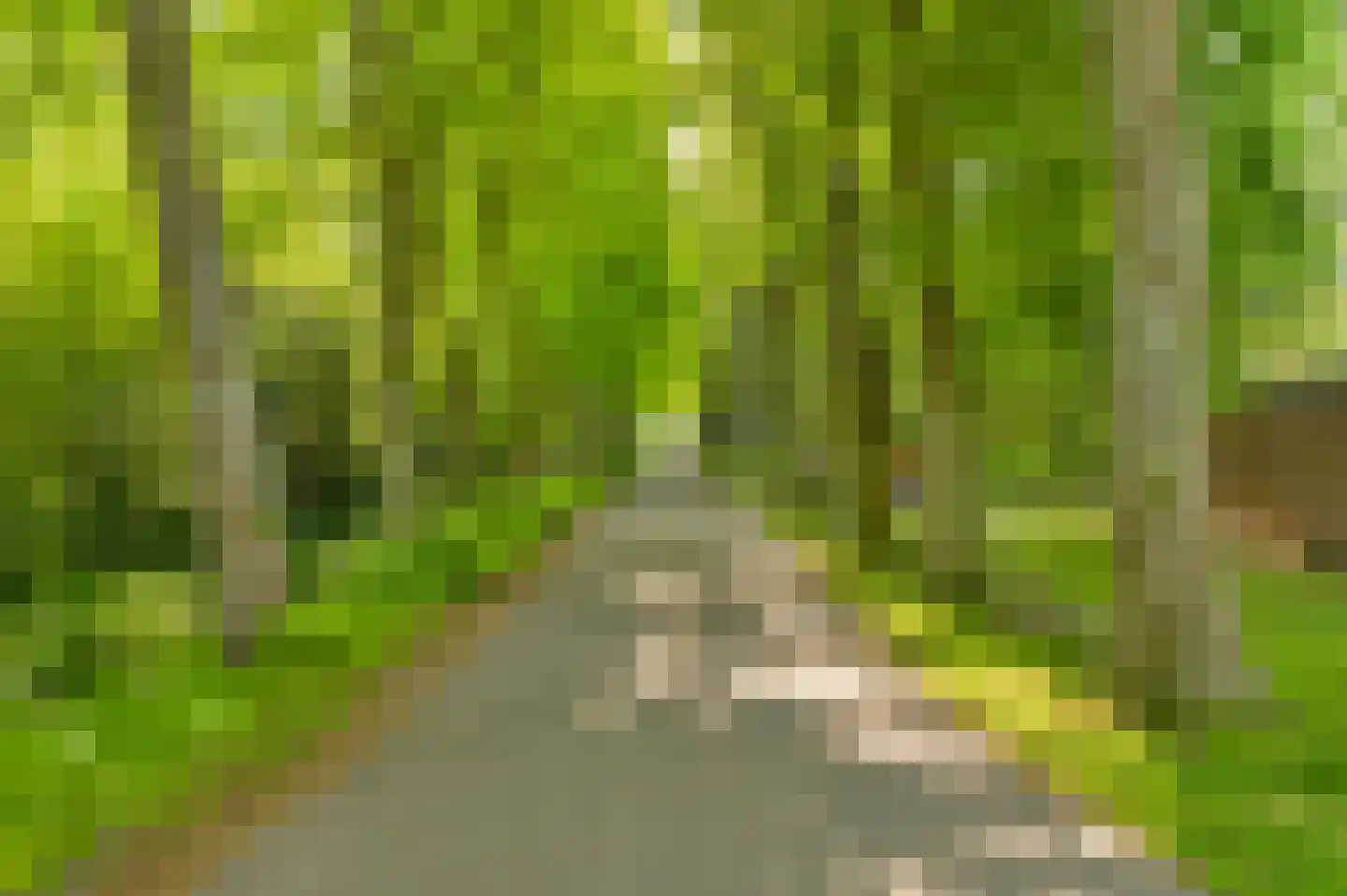 De Olvendijk 33 Heiloo thumbnail 37