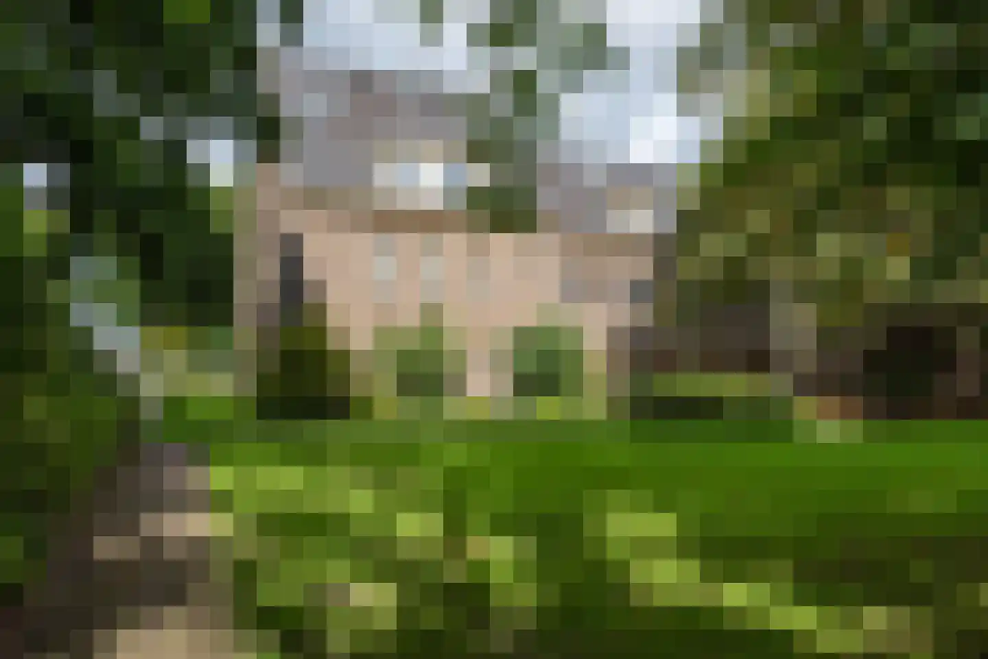 De Olvendijk 57 Heiloo thumbnail 33