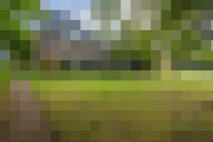 De Olvendijk 57 Heiloo thumbnail 36