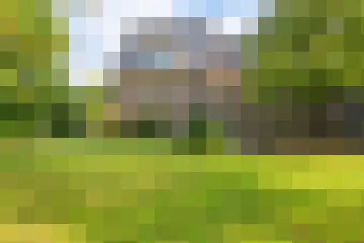 De Olvendijk 57 Heiloo thumbnail 37