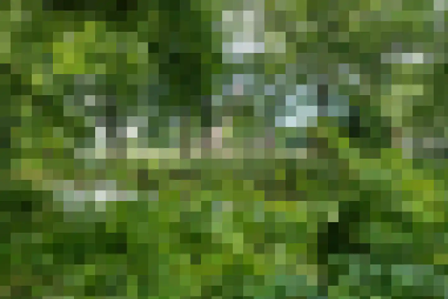 De Olvendijk 57 Heiloo thumbnail 37