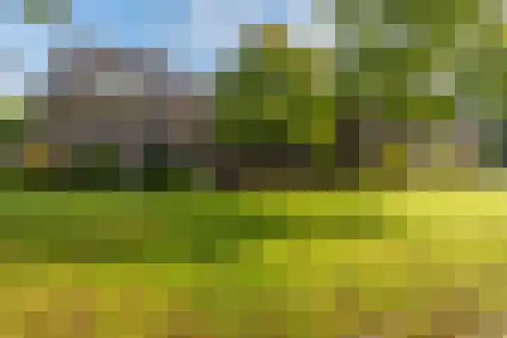 De Olvendijk 57 Heiloo thumbnail 41