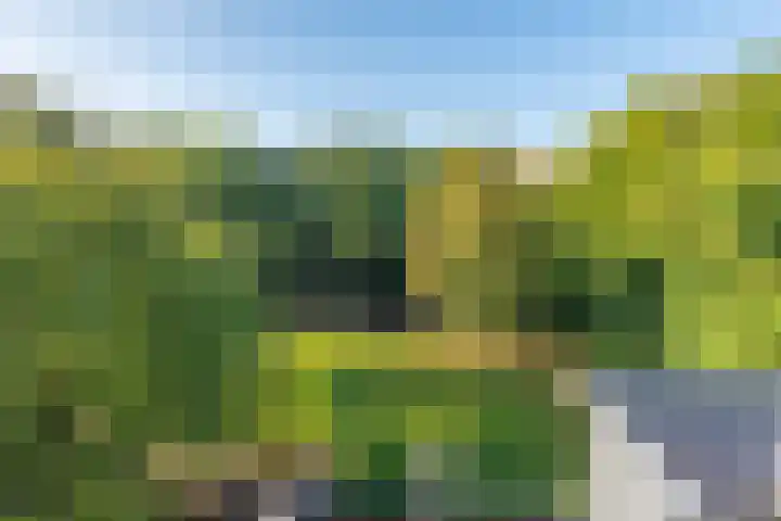 De Olvendijk 57 Heiloo thumbnail 6