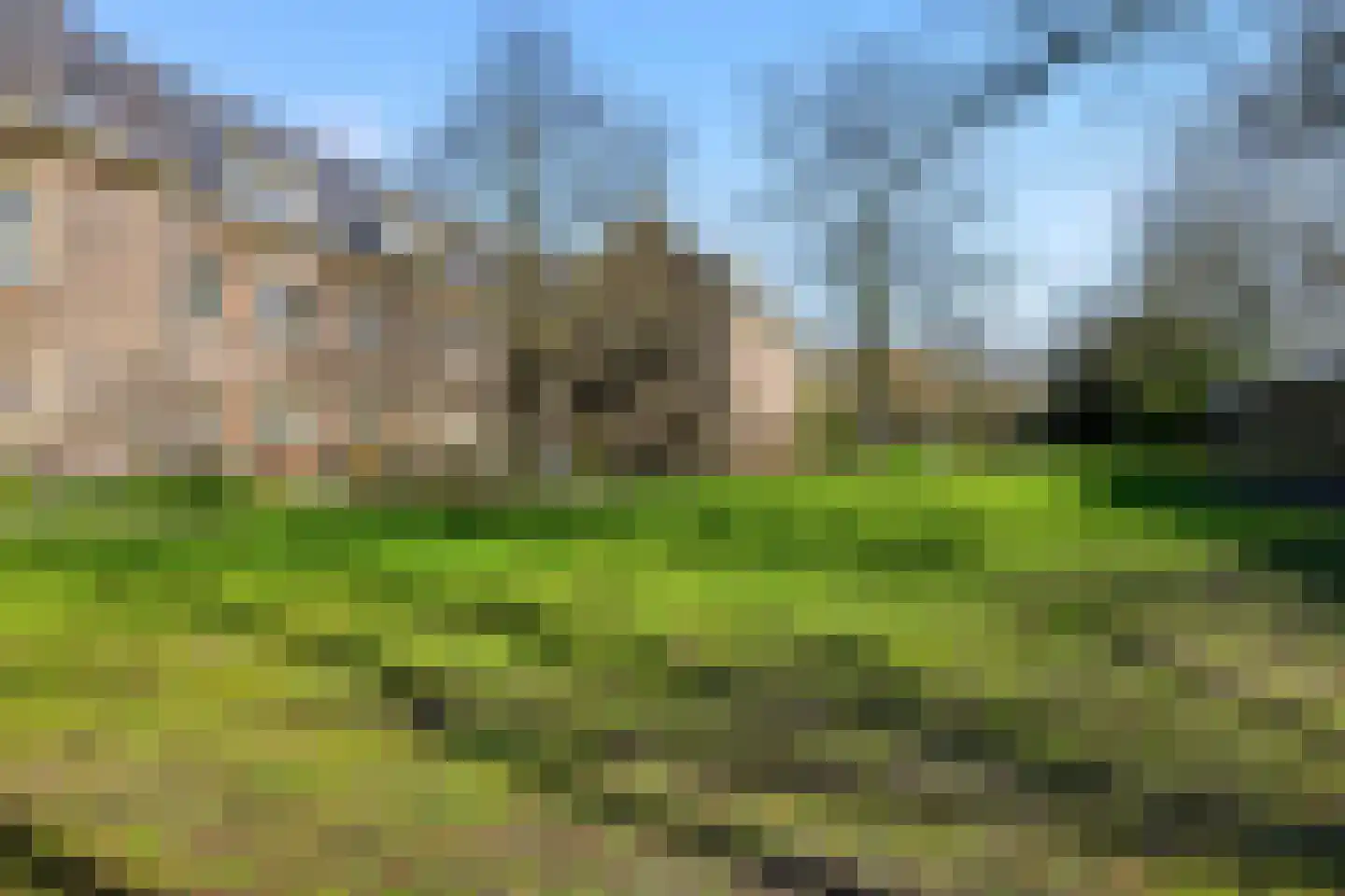 De Olvendijk 61 Heiloo thumbnail 29
