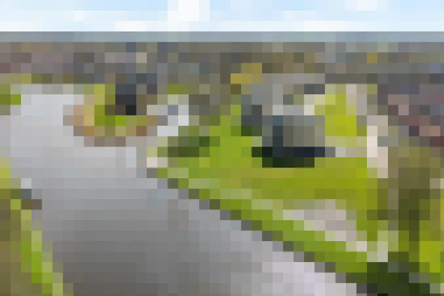 De Omloop 1 3 Dokkum thumbnail 32