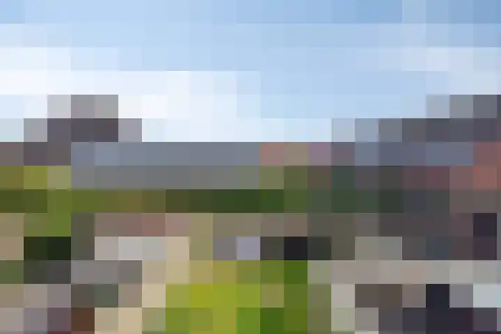 De Omloop 10 Sint Maarten thumbnail 31