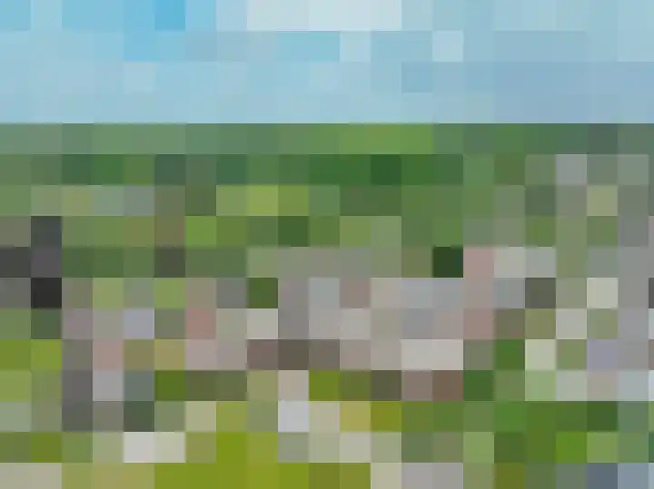 De Omloop 12 d Blijham thumbnail 5