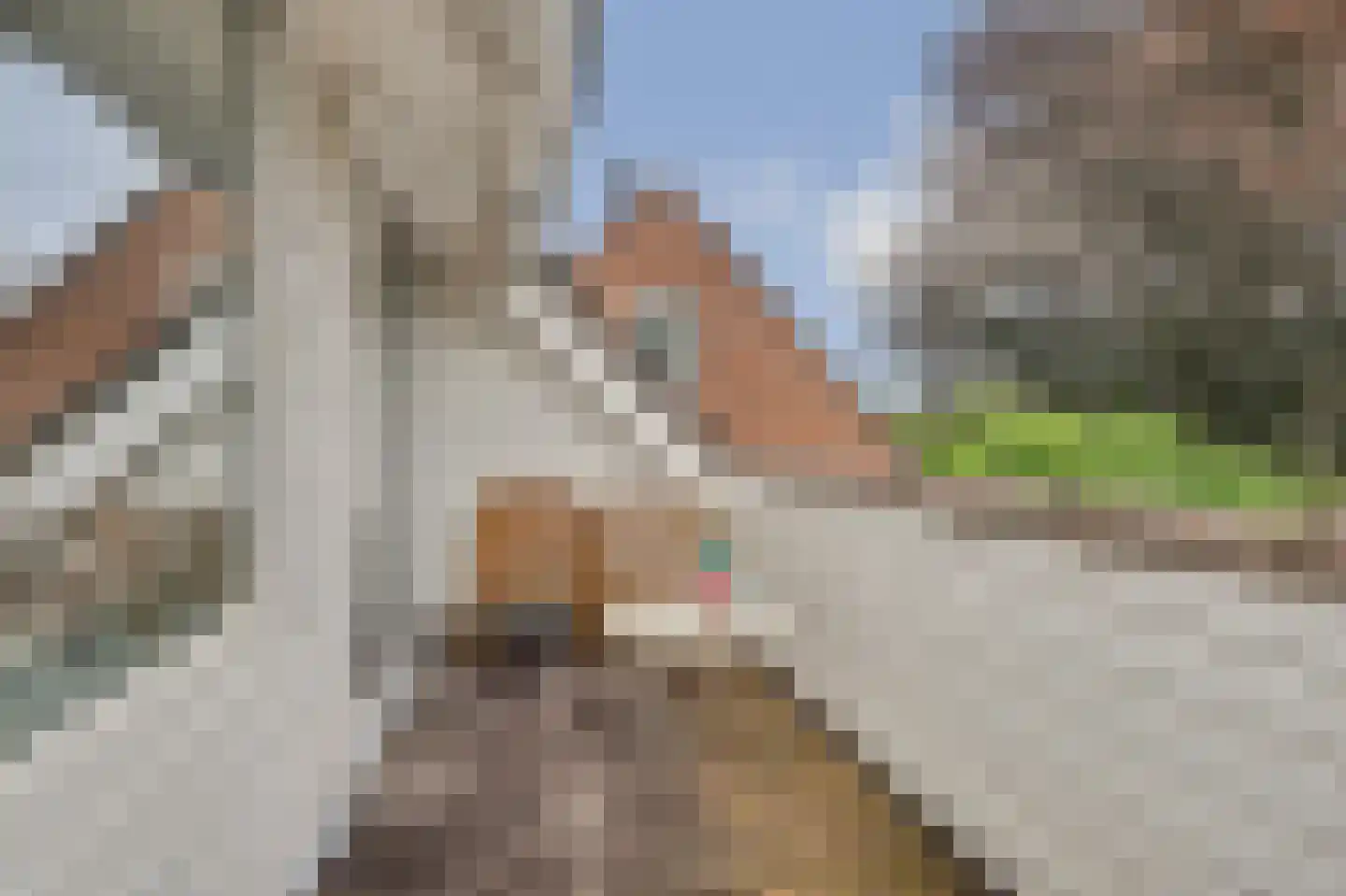 De Omloop 12 Elshout thumbnail 21