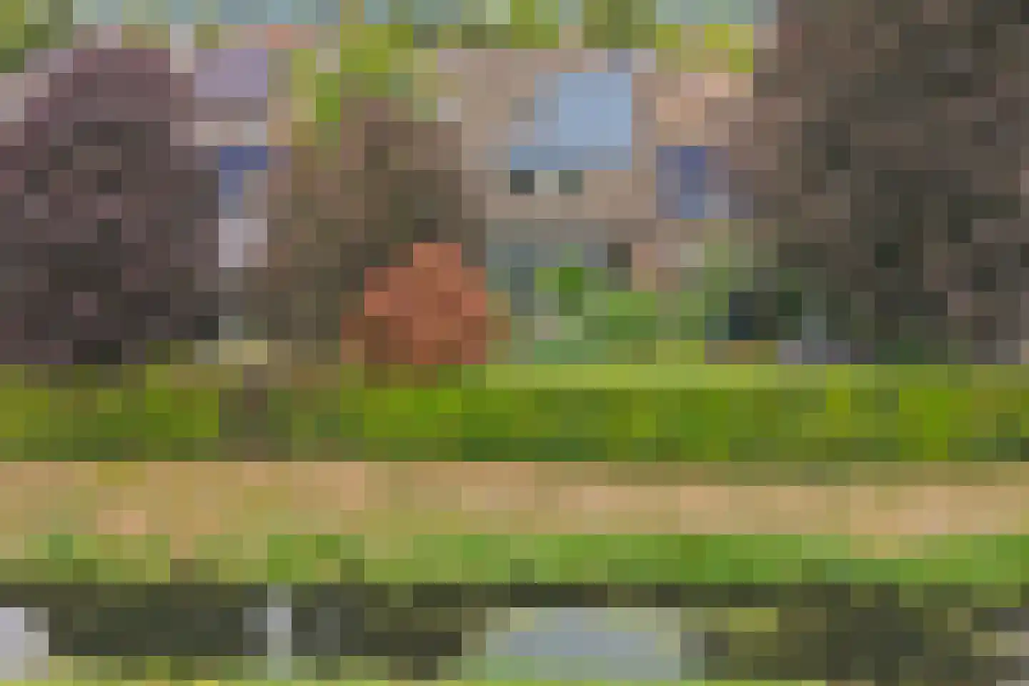De Omloop 12 Elshout thumbnail 55