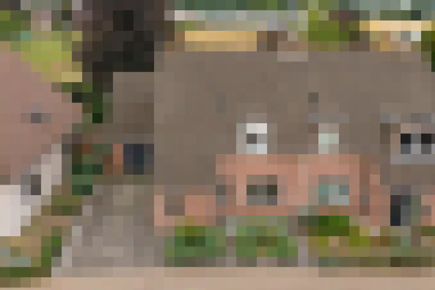 De Omloop 12 Elshout thumbnail 60