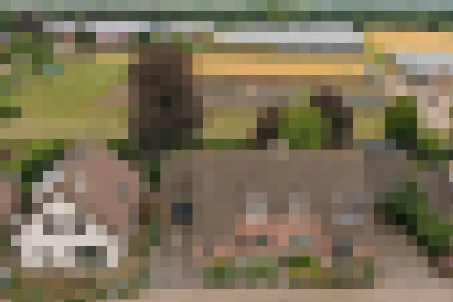 De Omloop 12 Elshout thumbnail 61