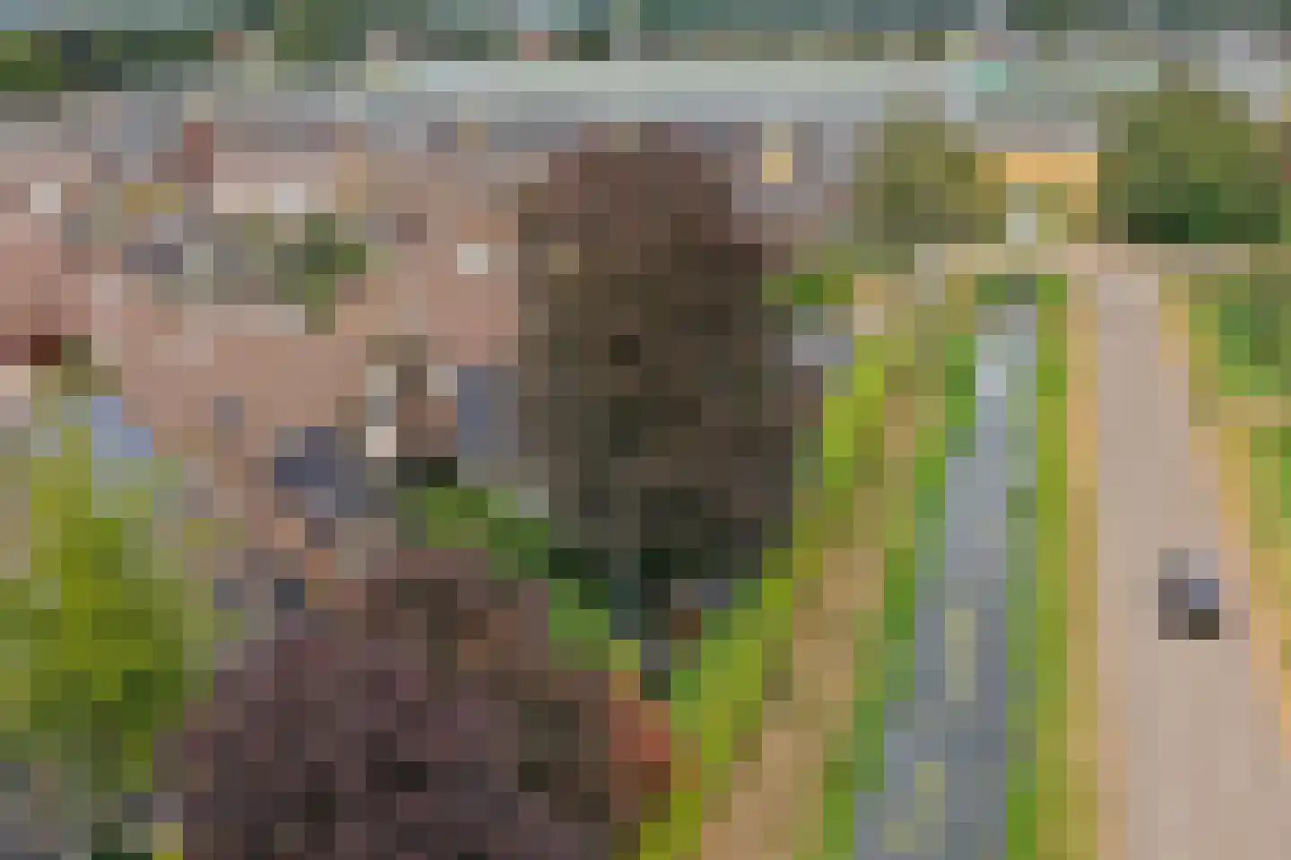 De Omloop 12 Elshout thumbnail 64