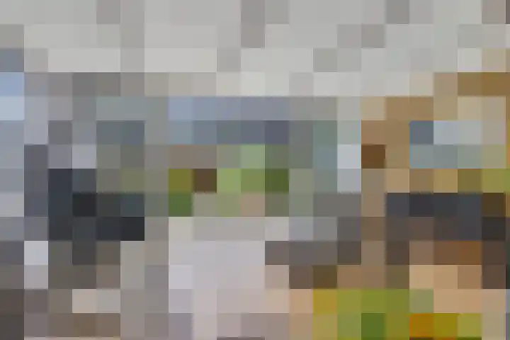 De Omloop 12 Nieuwe Niedorp thumbnail 10