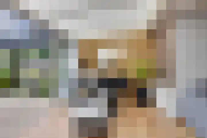 De Omloop 12 Nieuwe Niedorp thumbnail 11