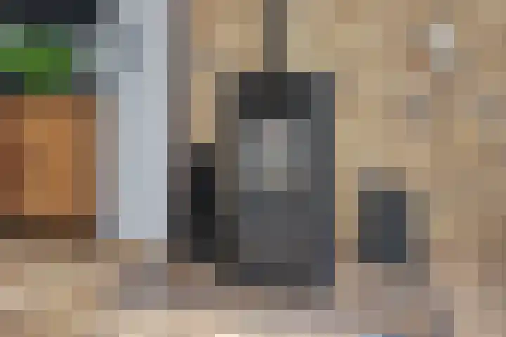 De Omloop 12 Nieuwe Niedorp thumbnail 14