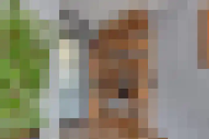 De Omloop 12 Nieuwe Niedorp thumbnail 17