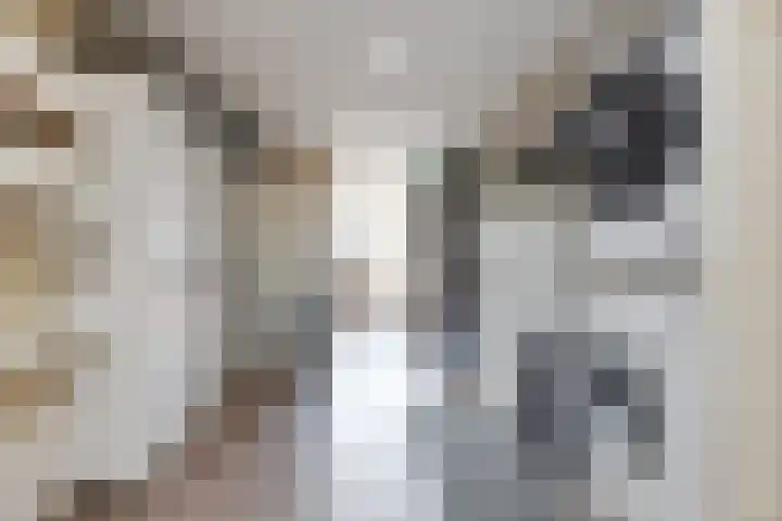 De Omloop 12 Nieuwe Niedorp thumbnail 40