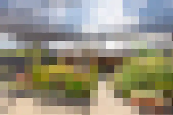 De Omloop 12 Nieuwe Niedorp thumbnail 45