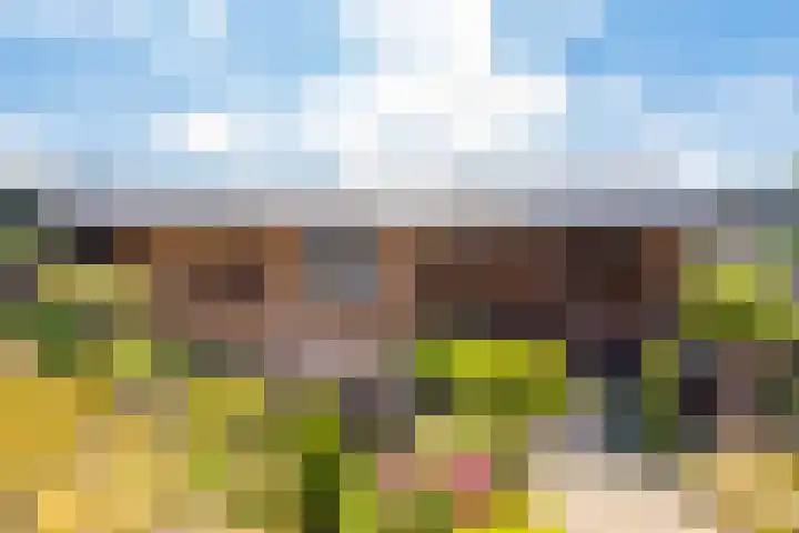 De Omloop 12 Nieuwe Niedorp thumbnail 46